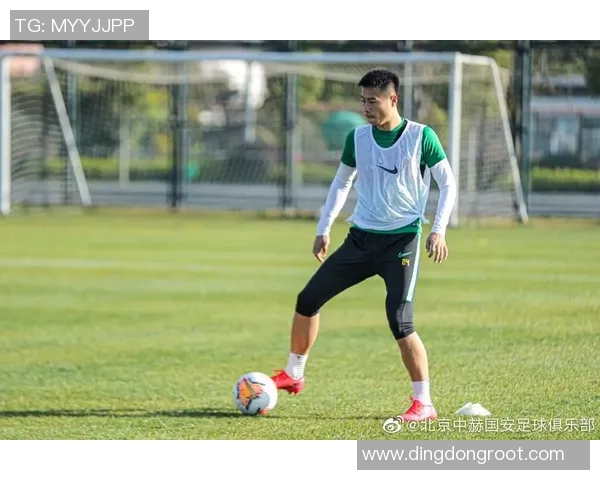 北京网球队的深度解析与控制策略探秘之旅