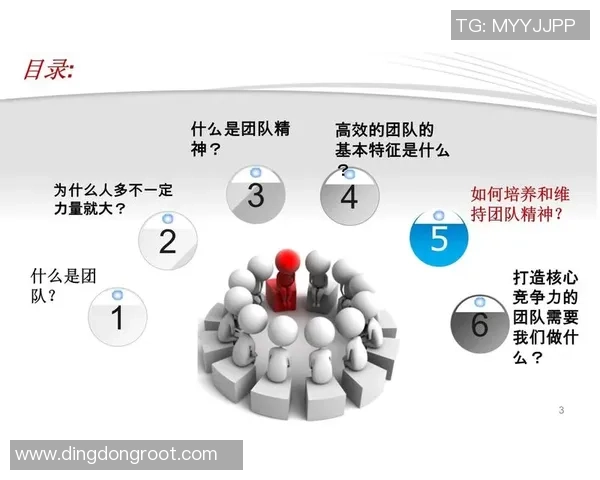 杭州乒乓球队战术解析：聚焦技术与团队协作的完美结合